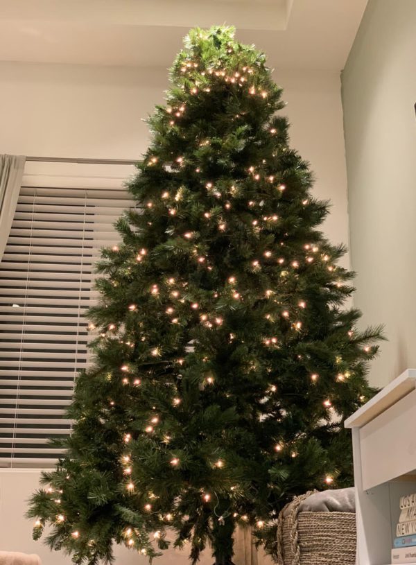 Tree Lights